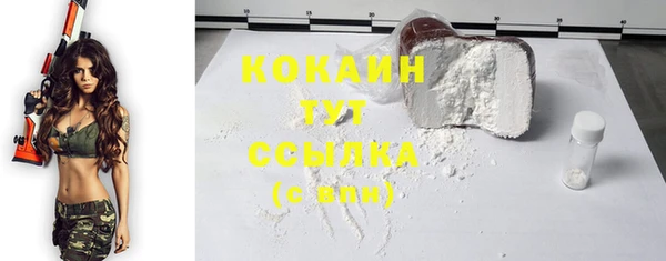 СК Няндома