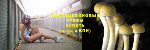 твердый Абдулино