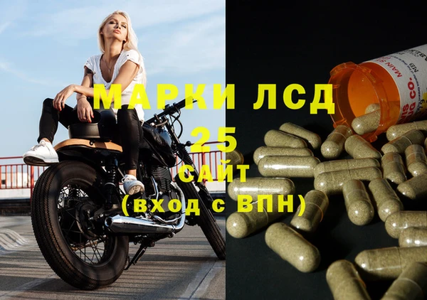 СК Няндома