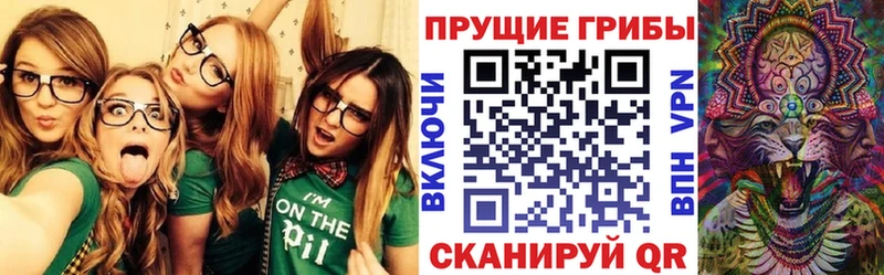 сколько стоит  Александровск-Сахалинский  Псилоцибиновые грибы GOLDEN TEACHER 